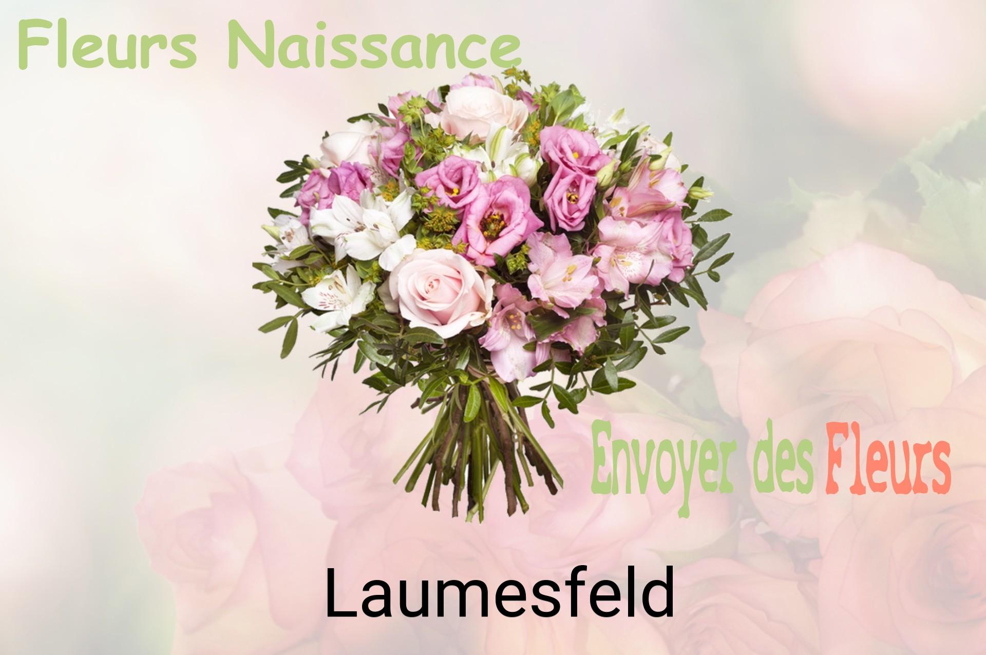 Bouquet de fleurs de naissance livré à Laumesfeld